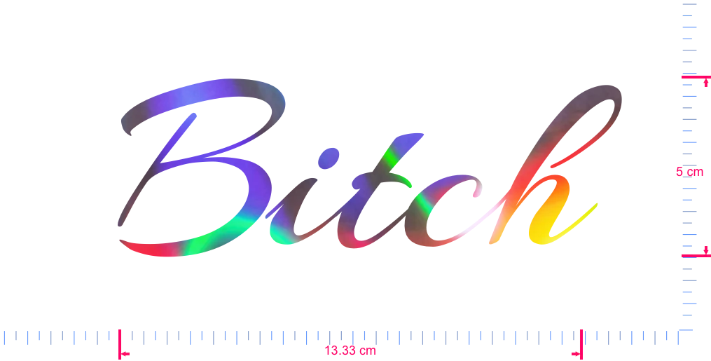 Text Bitch Vinyl custom lettering decall/5 x 13.33 cm/ OilSlick Chrome /