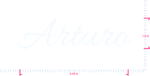 Text Arturo Vinyl custom lettering decall/1.5 x 5.49 in/ White /