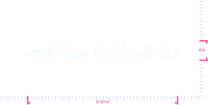 Text Aileen&Carlitos Vinyl custom lettering decall/4 x 31.87 in/ White /